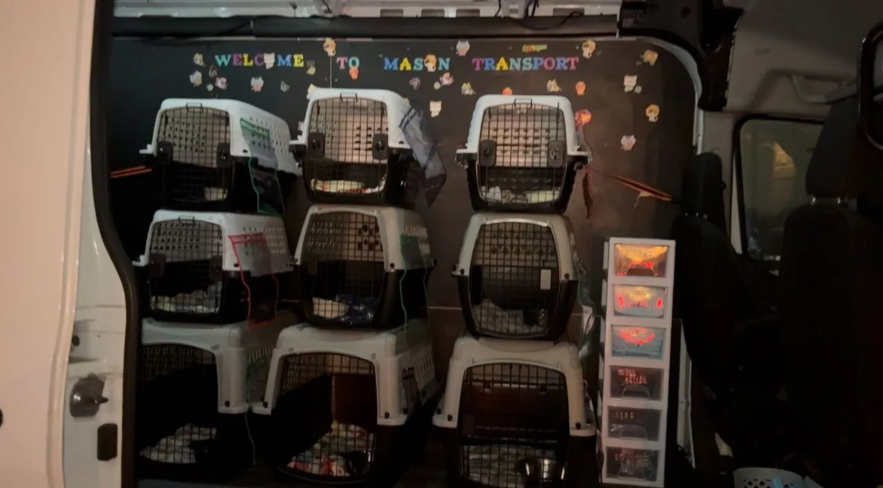 Inside the Mason Paw Transport van, with travel crates secured along the wall